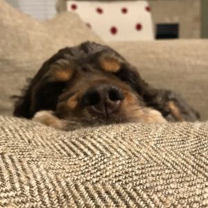 Meet your Posher, Katelyn